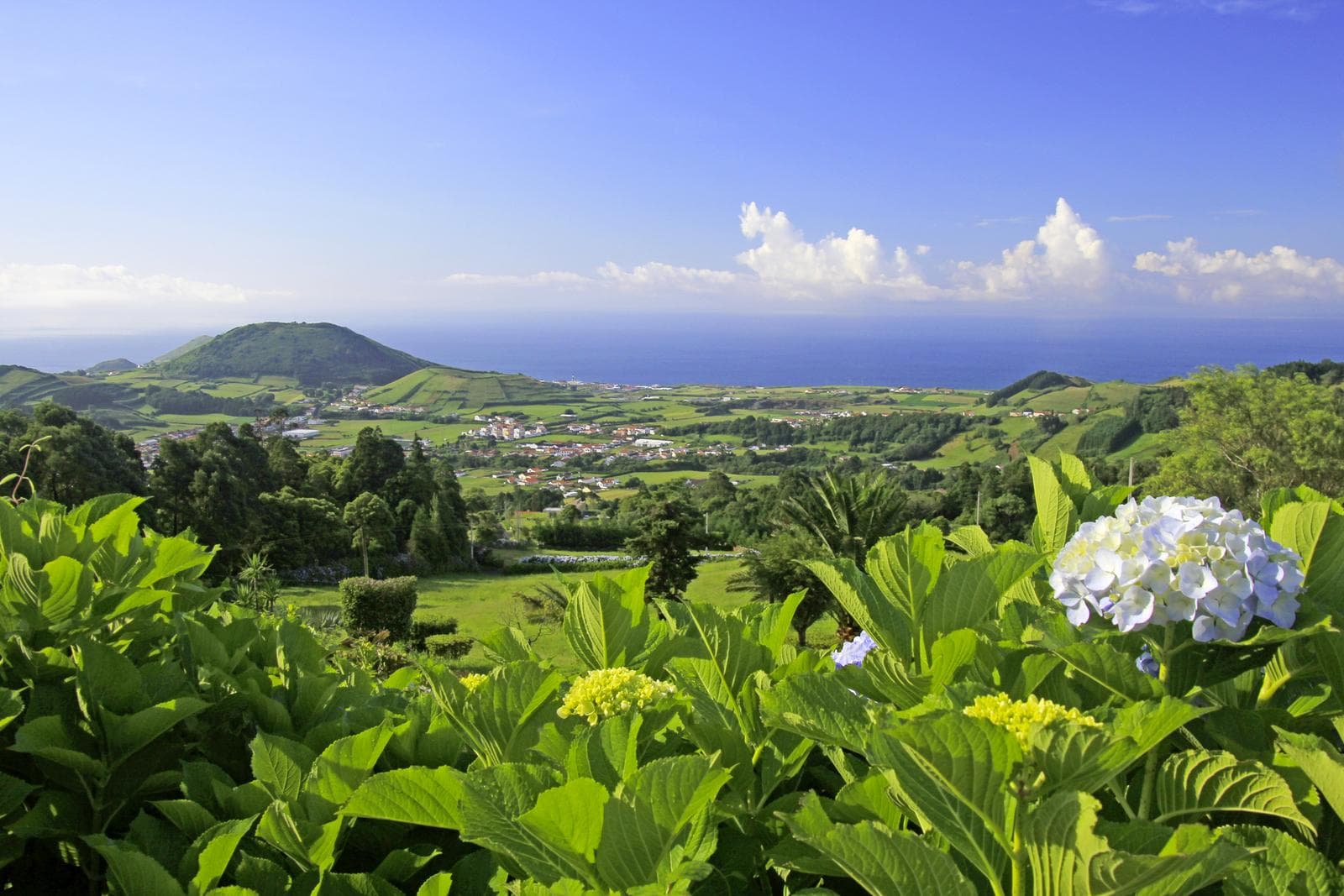 Azoren: Inselhopping im Atlantik