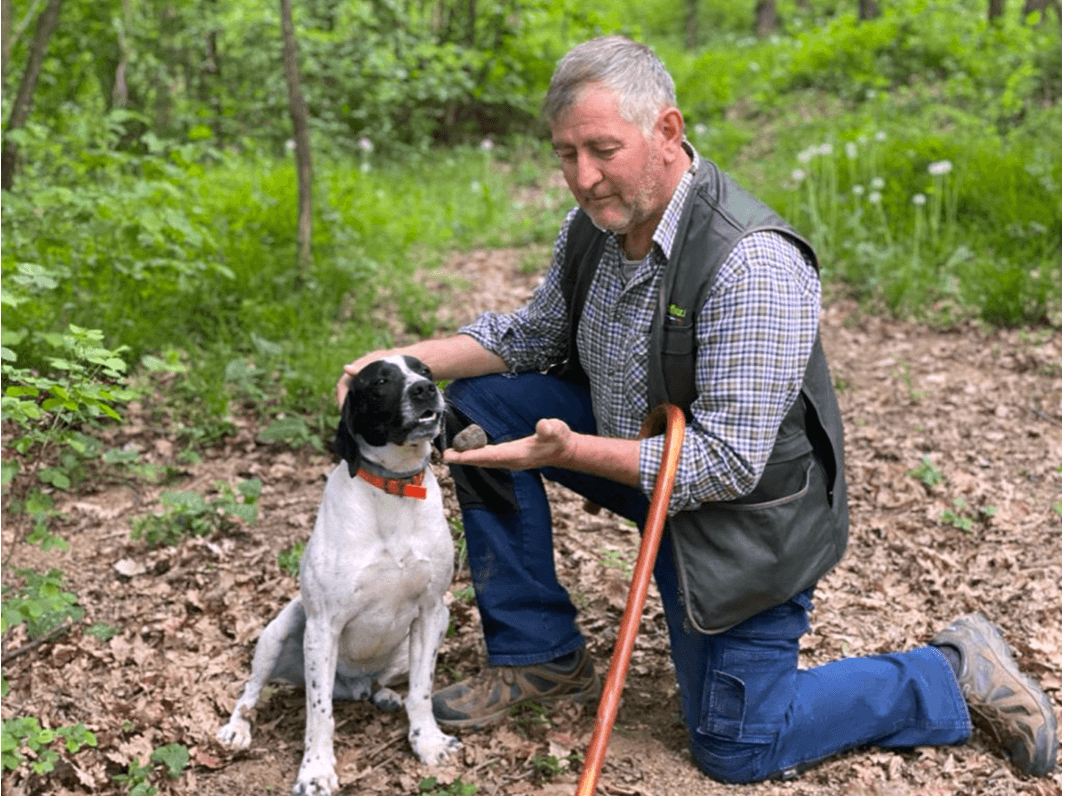 Mann mit Hund im grünen Wald, kniet mit Stock auf einem Pfad, entspannte Atmosphäre.