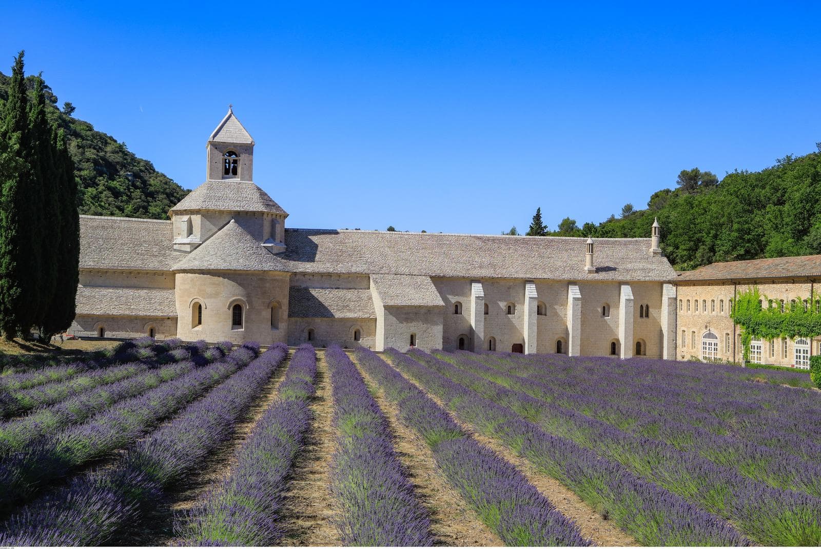 Provence zur Lavendelblüte 2027