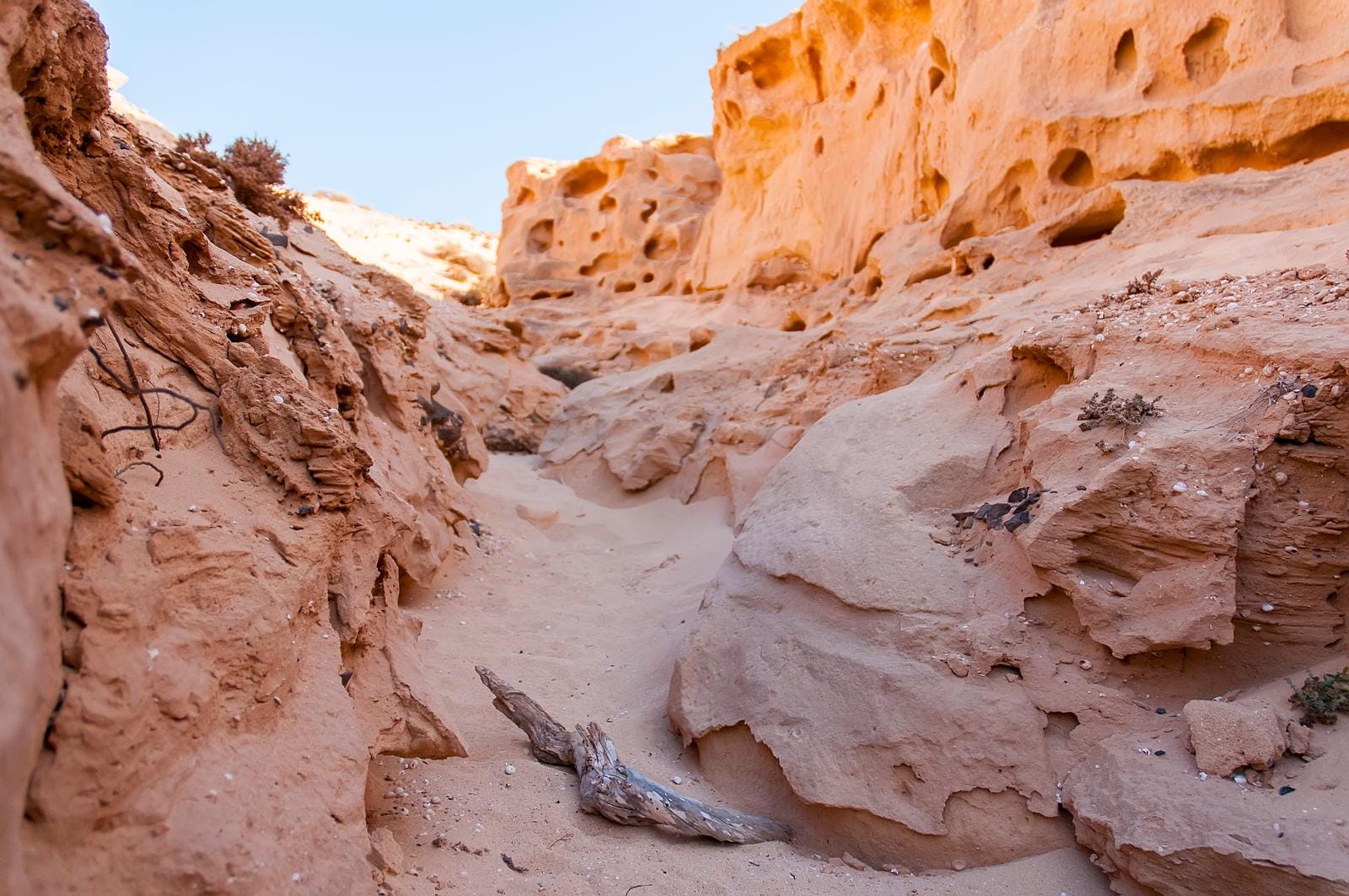 Erodierte Sandsteinfelsen in einer Wüstenlandschaft unter blauem Himmel.