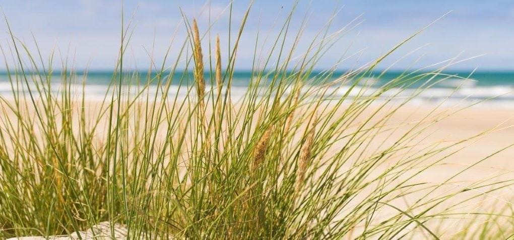 Swinemünde Strand