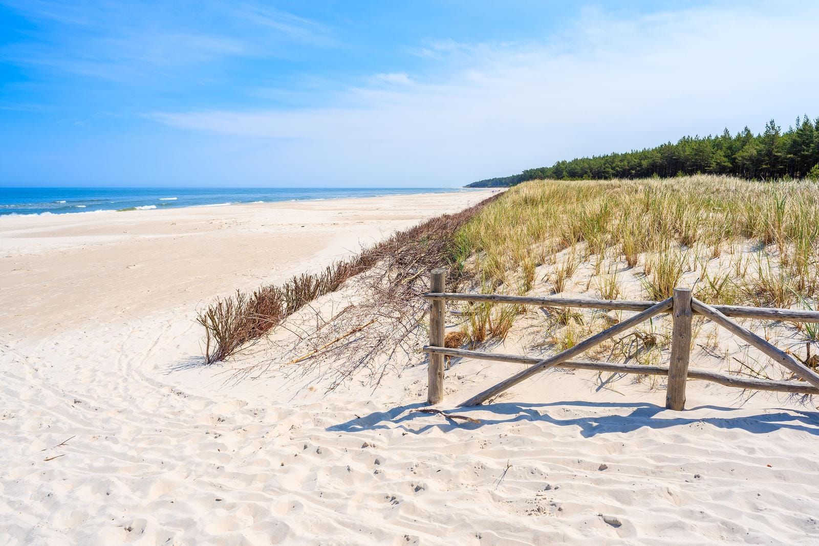 Weißer Sandstrand mit Dünen und Kiefernbäumen unter blauem Himmel.