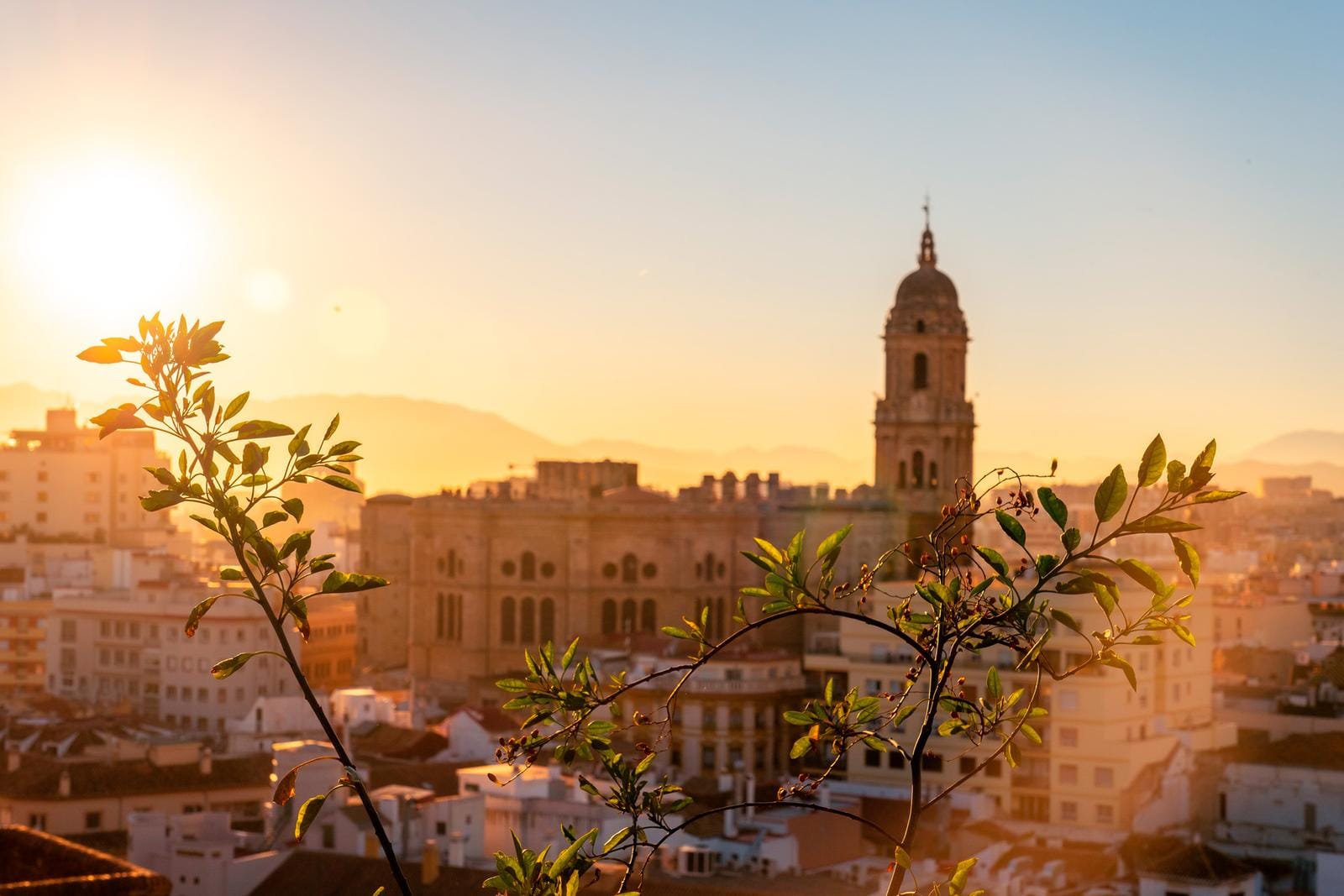 Blick auf Málaga, Spanien bei Sonnenuntergang mit Kathedrale und Pflanzen im Vordergrund.