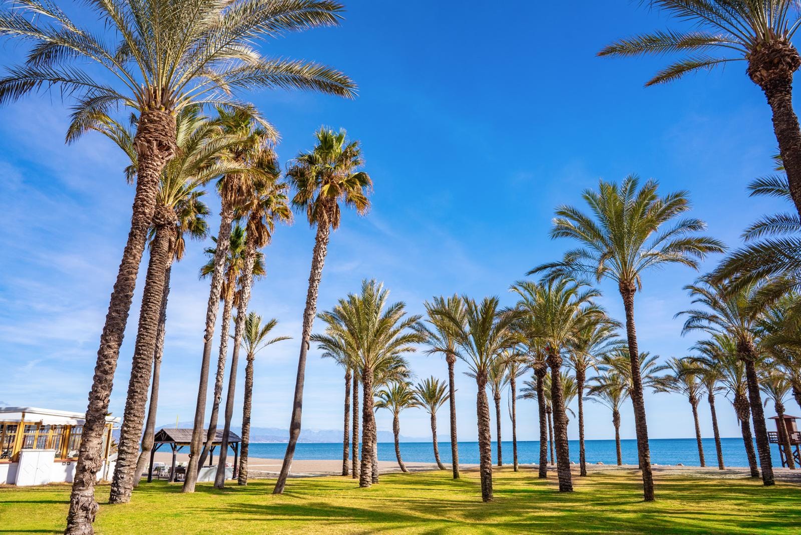 Strand mit hohen Palmen, grünem Rasen und blauem Himmel am Mittelmeer.
