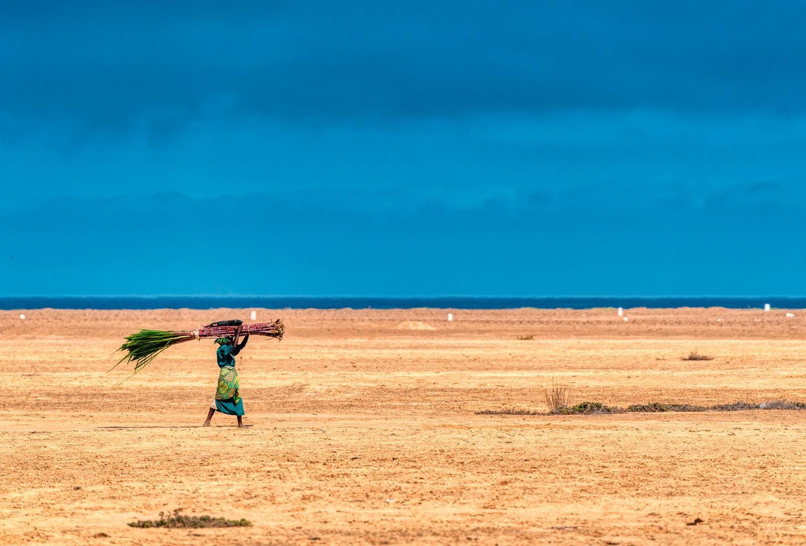 Person in buntem Gewand trägt Pflanzenbündel über trockene Wüste.