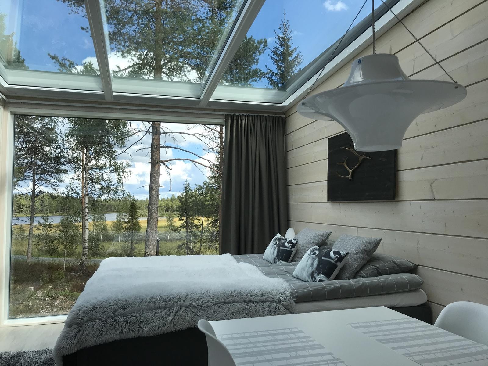 Gemütliches Hotelzimmer mit Glasdach, Panoramablick auf Wald und modernes Interieur.