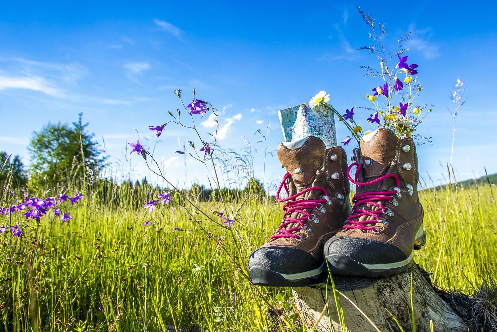 Wanderschuhe mit Blumen auf Baumstumpf in sonniger Wiese, blauer Himmel.