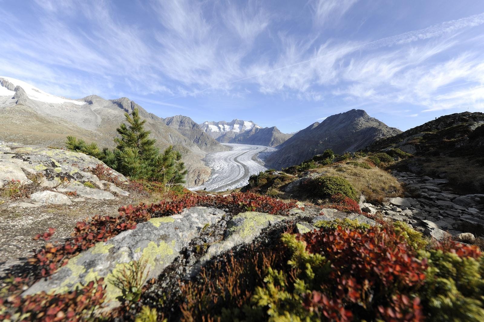 Aletschgletscher