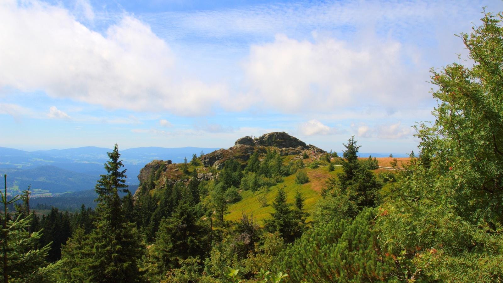 Sonniger Blick auf Bayerischen Wald, Deutschland, mit Hügeln und grünen Wäldern im Vordergrund.