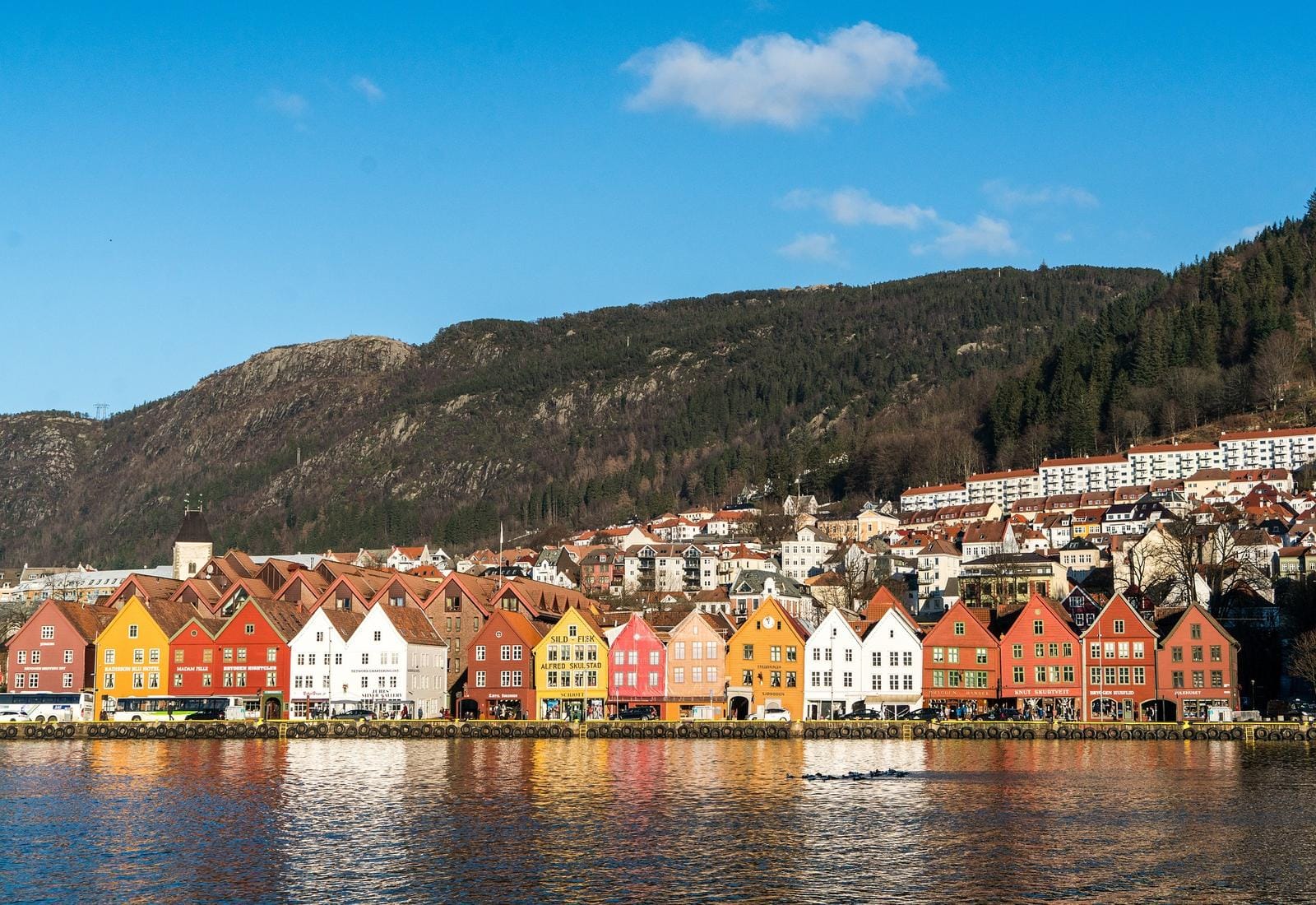 Bunte Häuser am Wasser in Bergen, Norwegen, umgeben von Bergen und klarem blauen Himmel.