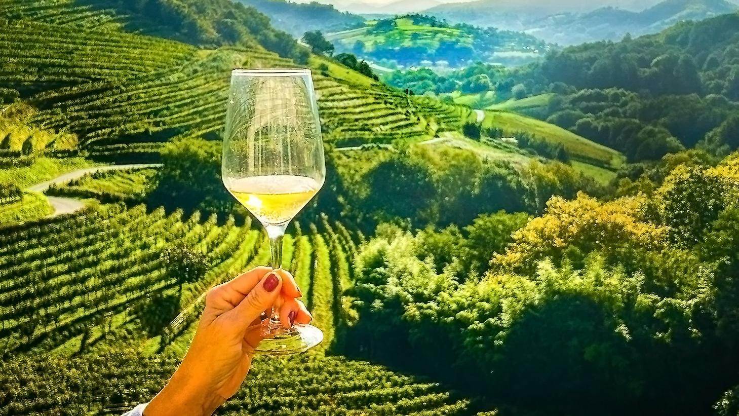 Grüne Weinberge in Italien, Hand hält Weinglas mit gelbem Wein im Vordergrund.