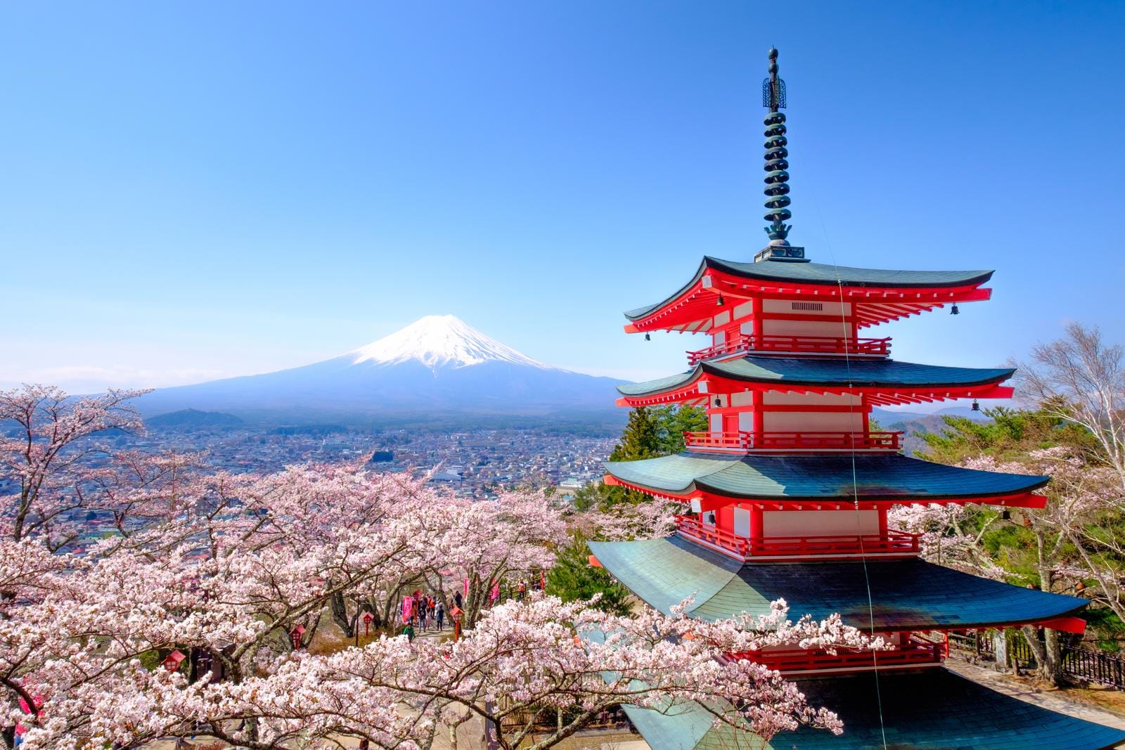 Rote Pagode und blühende Kirschbäume vor dem schneebedeckten Berg Fuji, Japan.