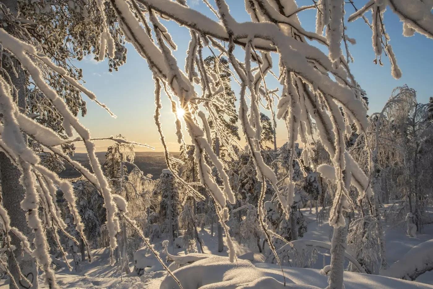 Winterliche Landschaft mit verschneiten Bäumen und Sonnenuntergang in Lappland, Finnland.