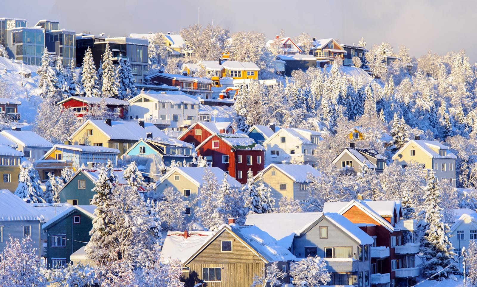 Verschneite Häuser in bunten Farben in einer winterlichen skandinavischen Landschaft.