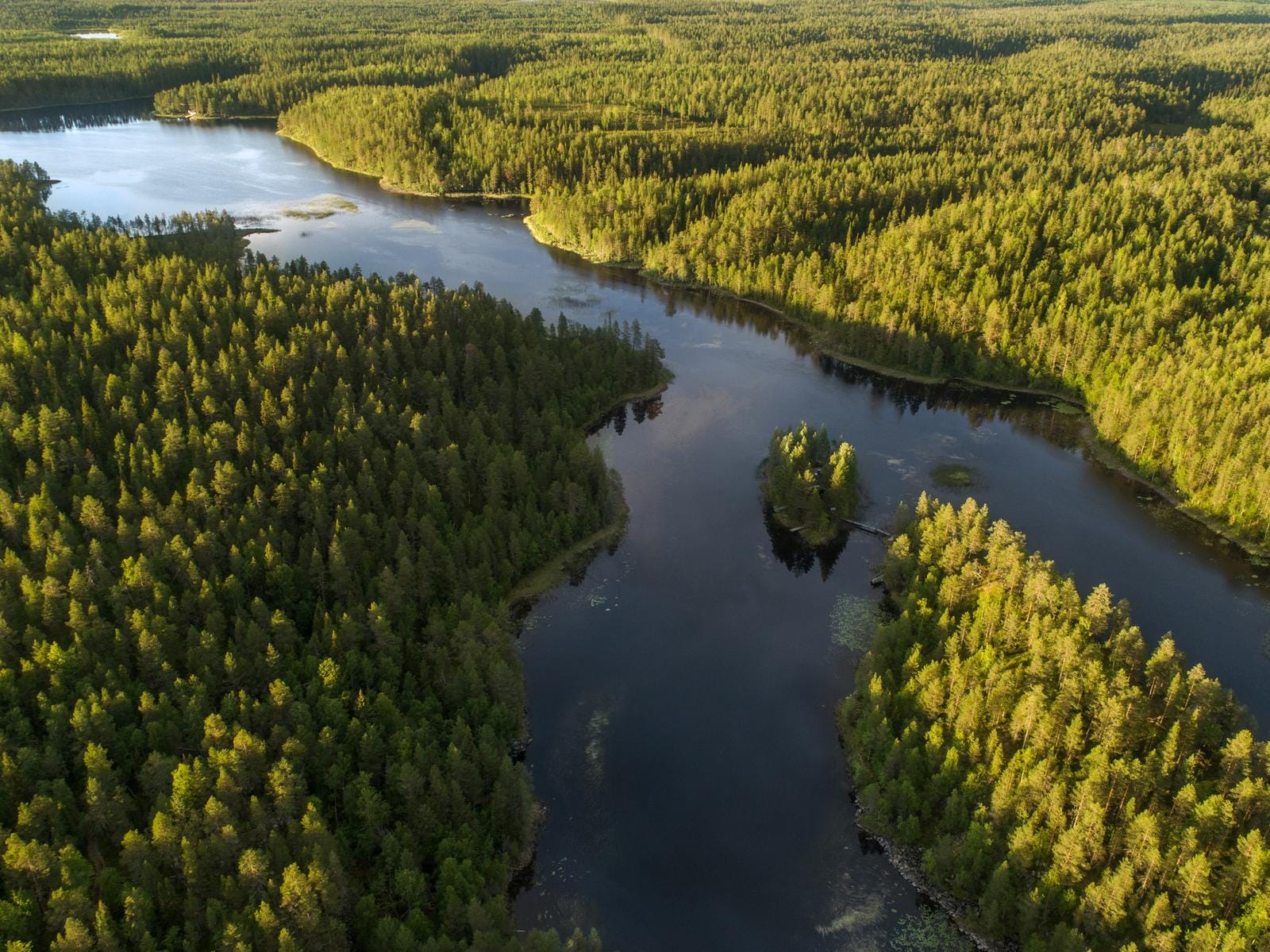 Luftaufnahme eines dichten, grünen Waldes mit ruhigem Fluss und kleinen Inseln bei Sonnenschein.