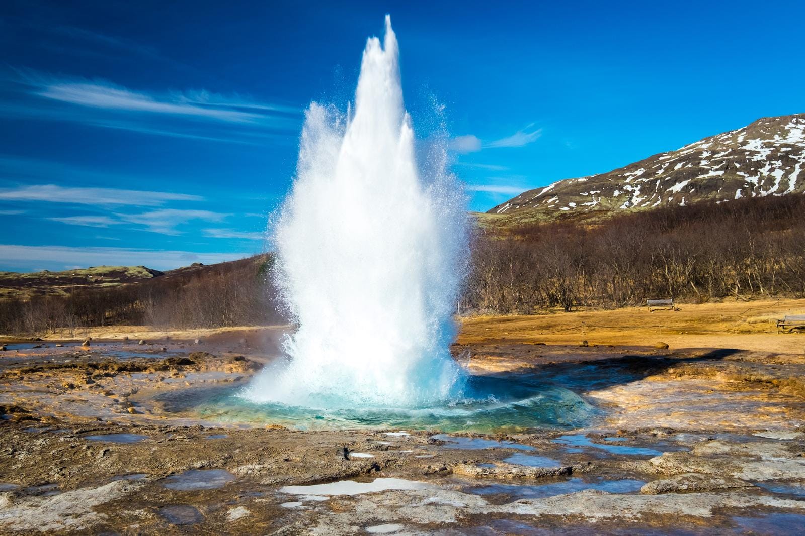 Geysir-Ausbruch in Islands Landschaft unter klarem blauem Himmel.