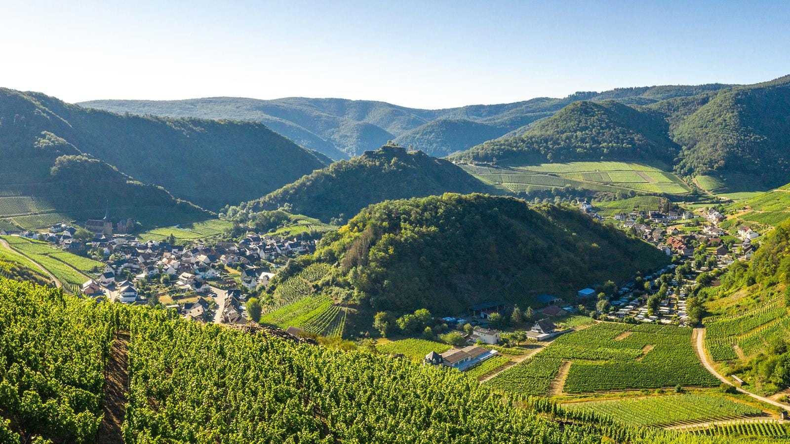 Idyllische Weinberge im Ahrtal, Deutschland, umgeben von sanften Hügeln und grünen Tälern.