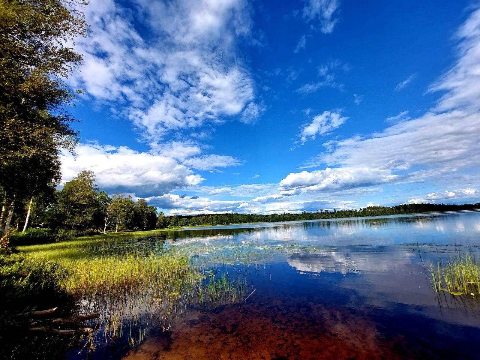 Klarer See mit blauem Himmel und Wolkenspiegelung, umrandet von Bäumen und Gräsern.