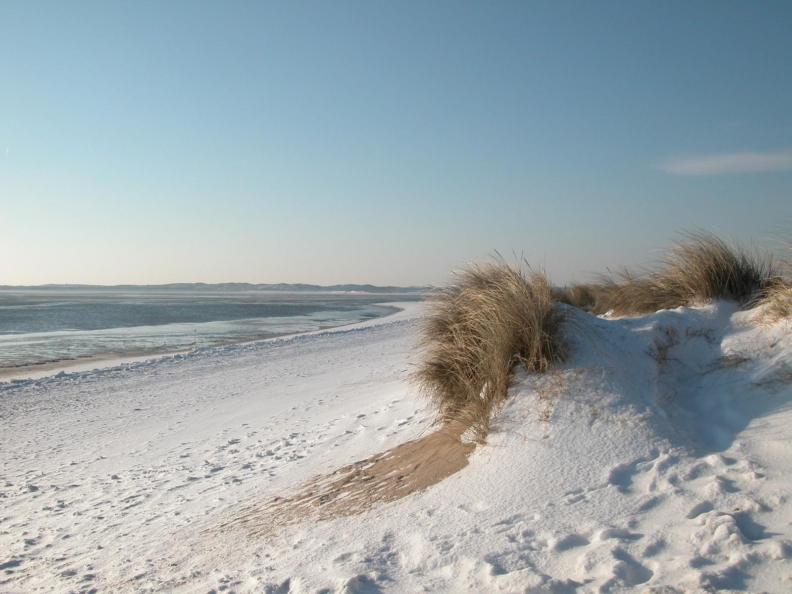 Winterliche Dünenlandschaft an Sylts Küste, Schnee bedeckt den Strand bei klarem Himmel.