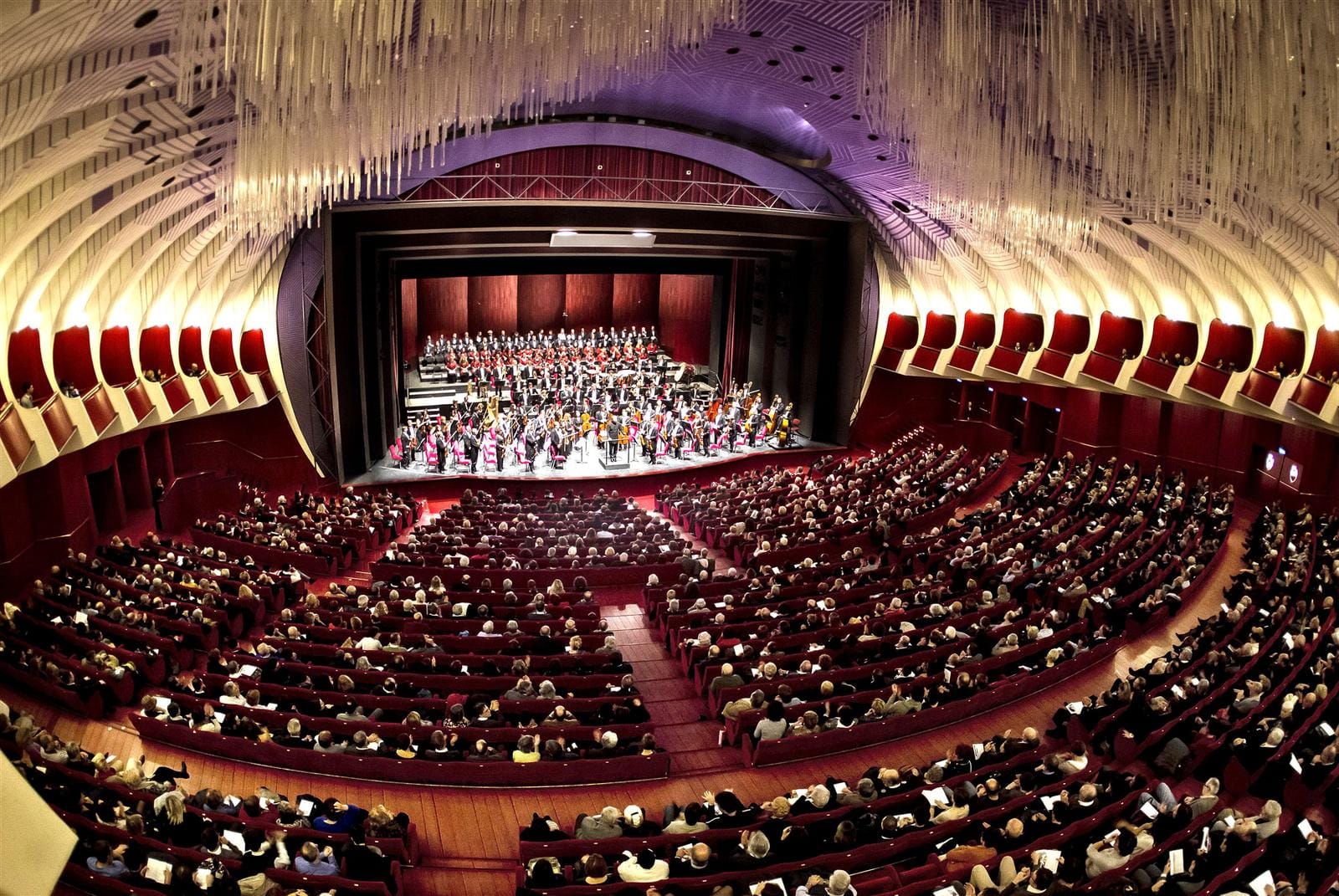 Konzerthalle mit voller Besetzung und elegant gewölbter Decke, warm beleuchtet.