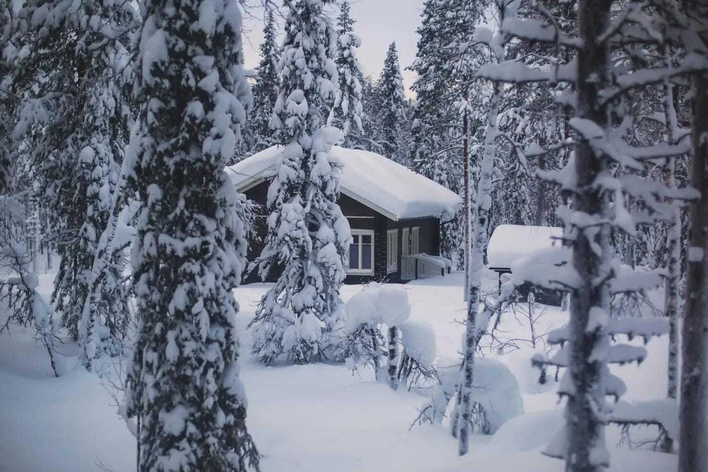 Verschneite Hütte im finnischen Wald, umgeben von schneebedeckten Bäumen.