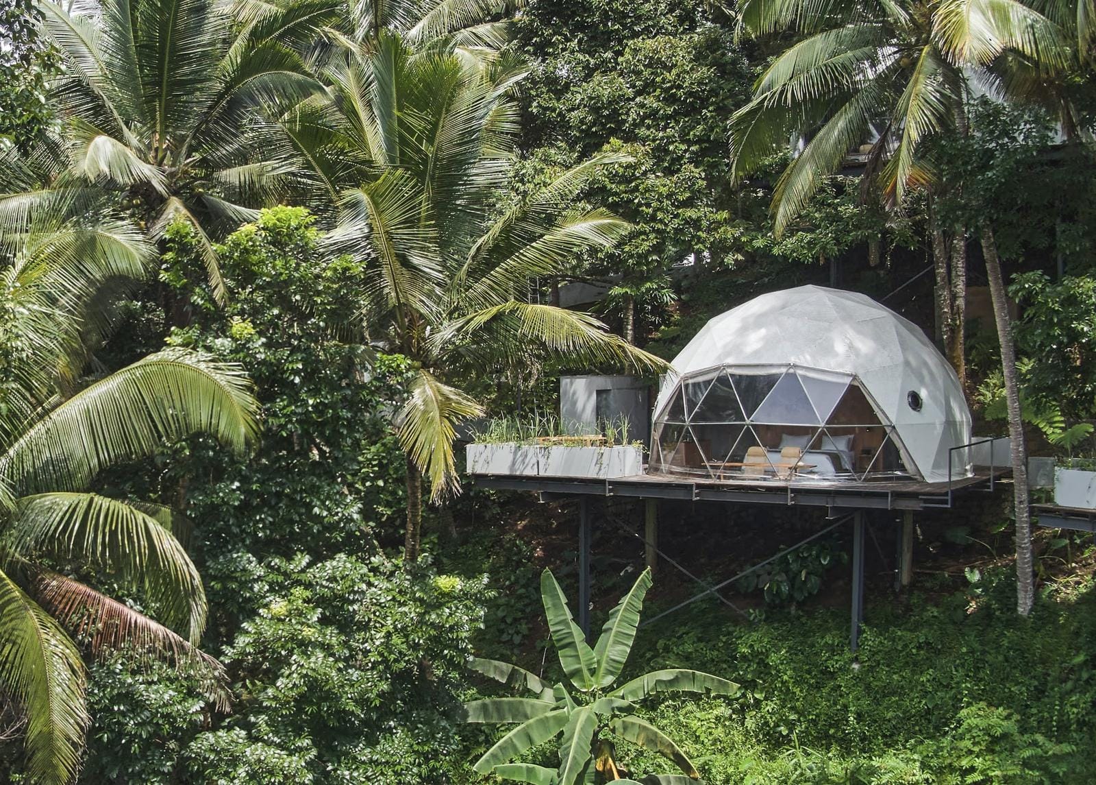 Kuppelförmiger Bungalow im Dschungel, modern, auf Stelzen, umgeben von Palmen.