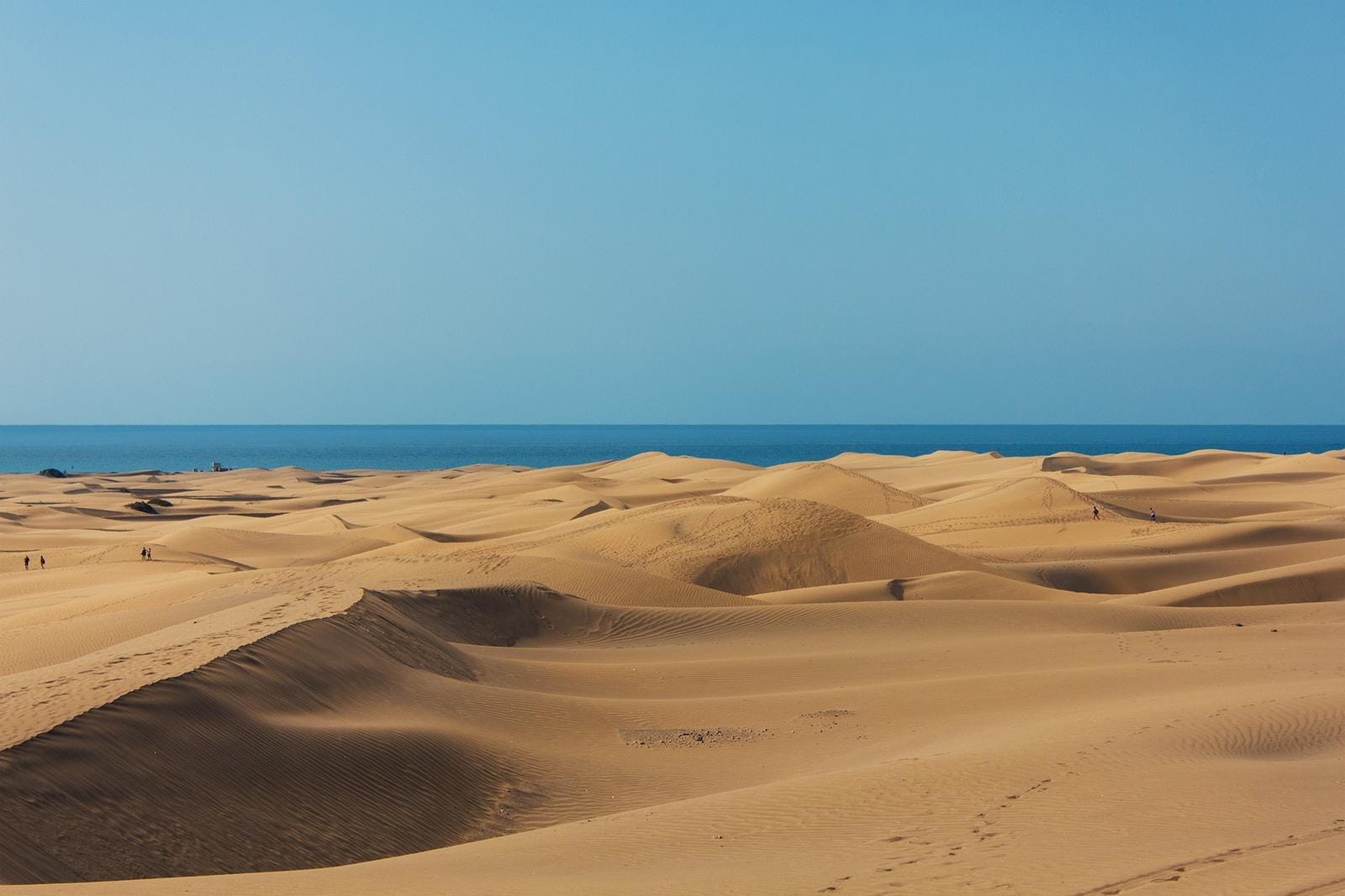 Weite Sanddünen treffen auf das blaue Meer unter klarem Himmel.