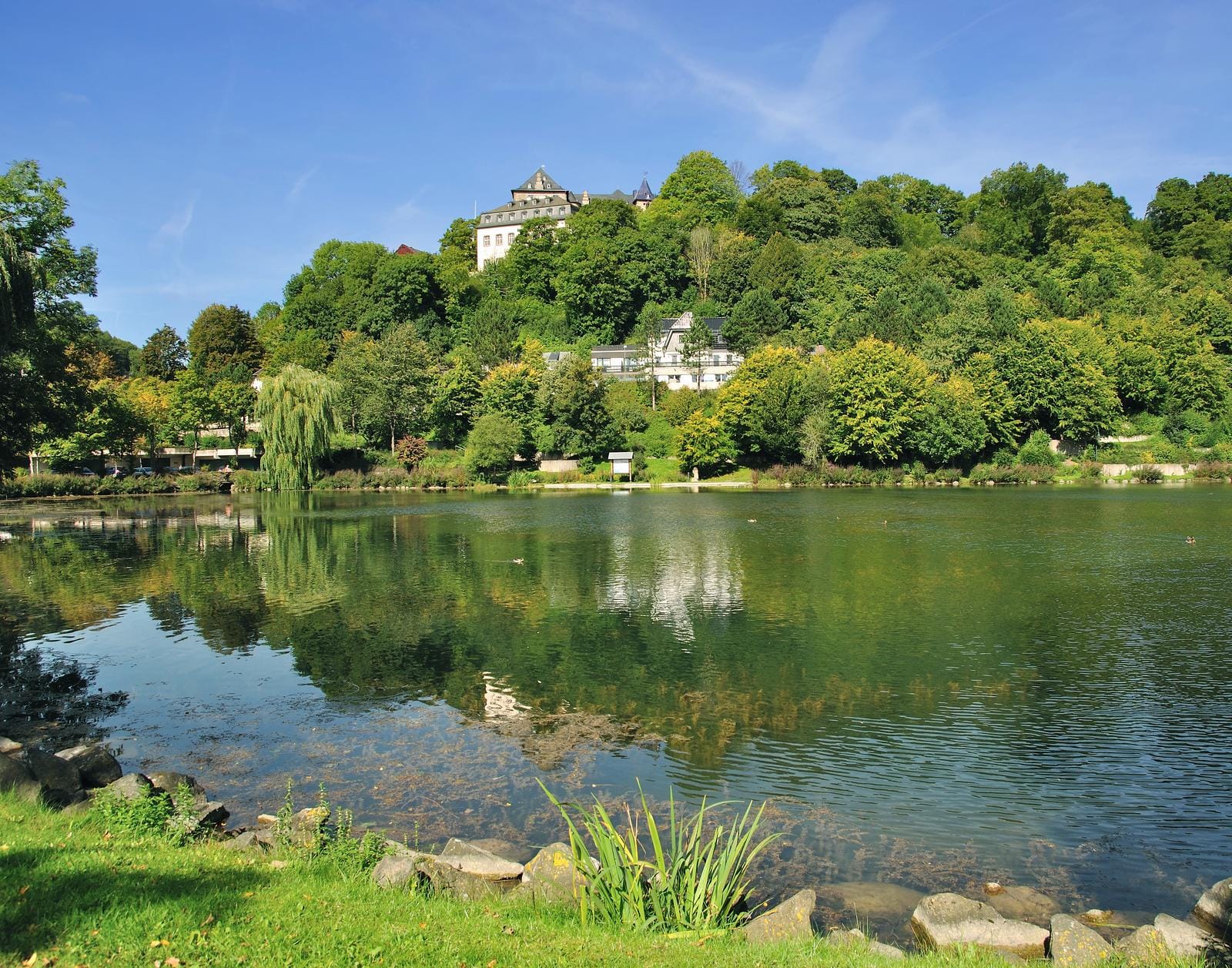 See im Grünen mit Schloss im Hintergrund, umgeben von üppigen Bäumen.