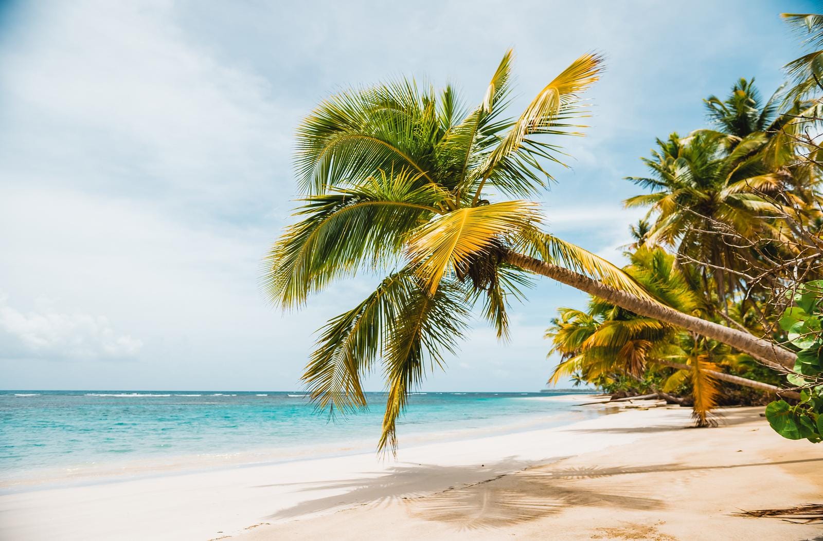 Vietnam Bucketlist: Halong Bay, Lantern City & Mekong Delta - Galerie Bild 6