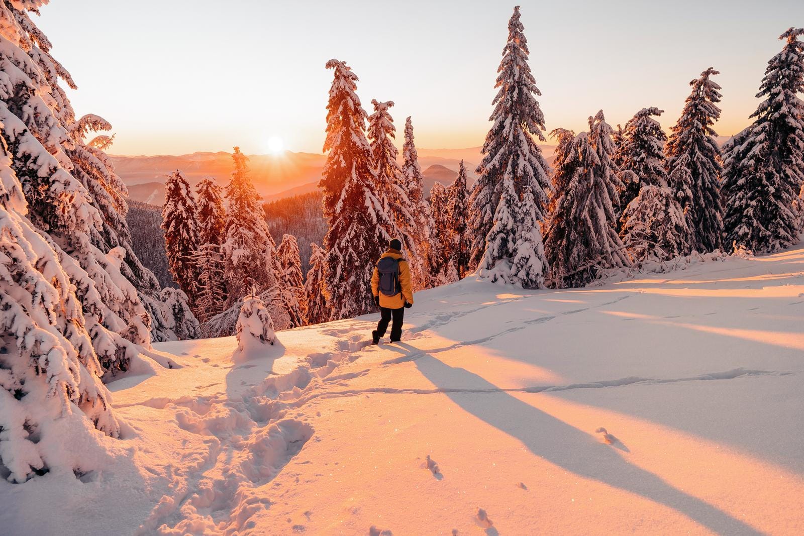 Verschneiter Wald im Sonnenuntergang, Wanderer in warmer Kleidung, malerische Winterlandschaft.