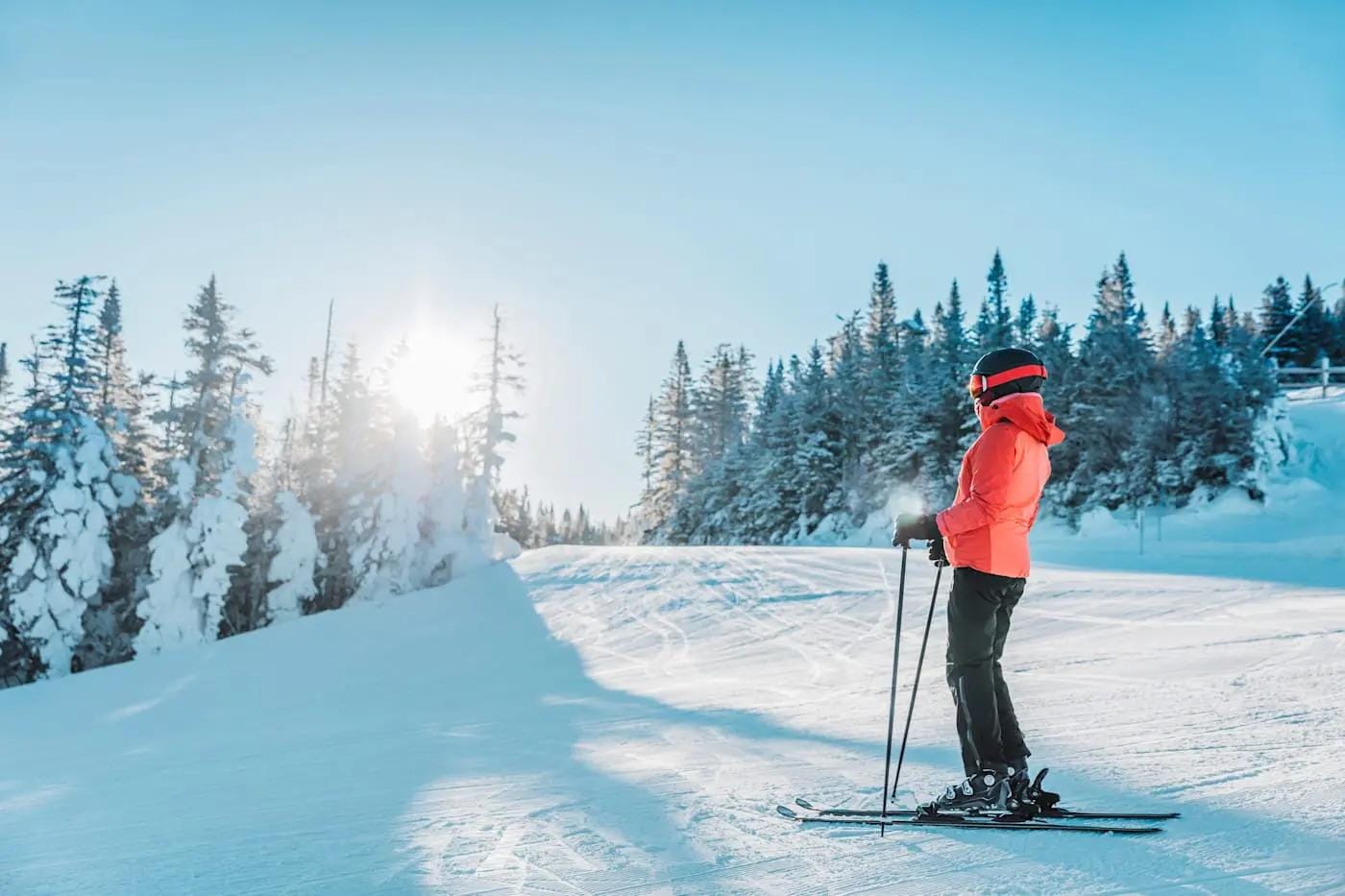 Skifahrer in roter Jacke steht auf verschneiter Piste, umgeben von schneebedeckten Bäumen.