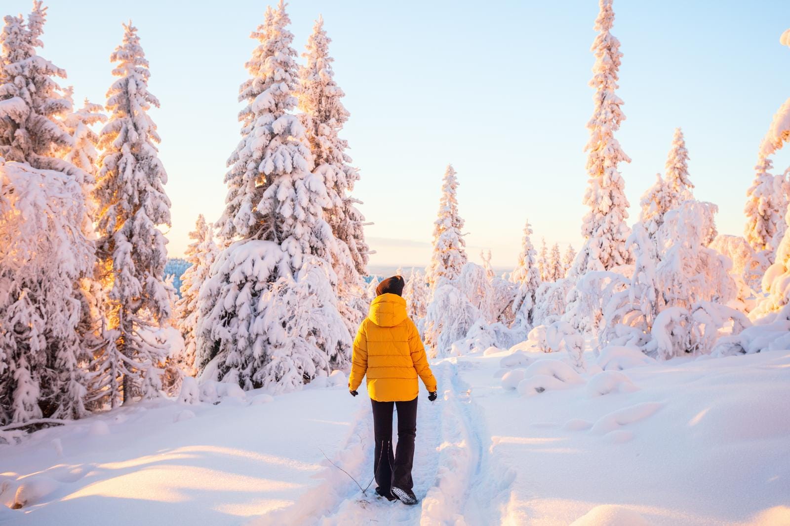 Verschneiter Wald in winterlicher Landschaft, Person in gelber Jacke, Sonnenuntergang.