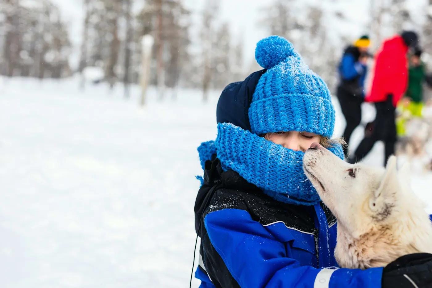 Kind in blauer Winterkleidung, kuschelt mit einem Husky im verschneiten Winterwald.