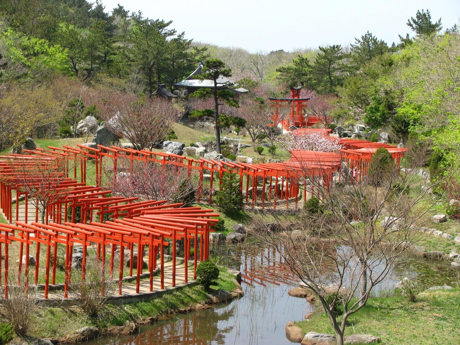 Japanischer Garten mit roten Torii-Toren, blühenden Bäumen und einem Teich.