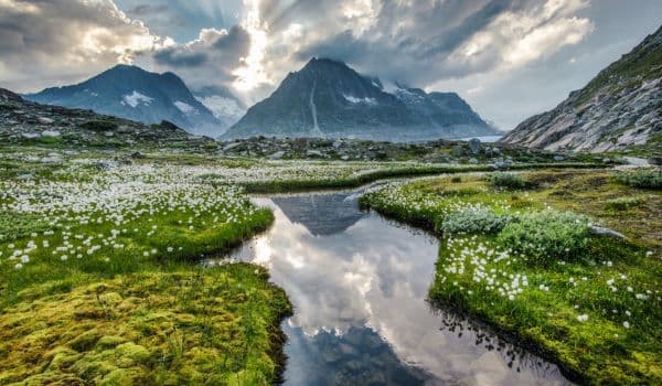 Fieschertal – Unberührte Bergwildnis im UNESCO-Welterbe