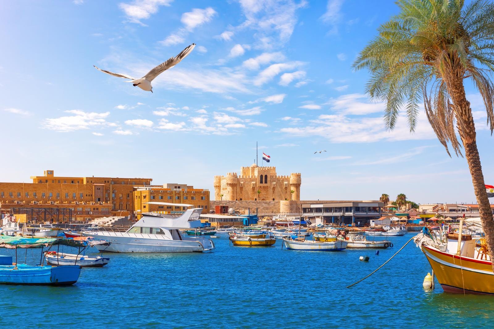 Ägypten - Alexandria