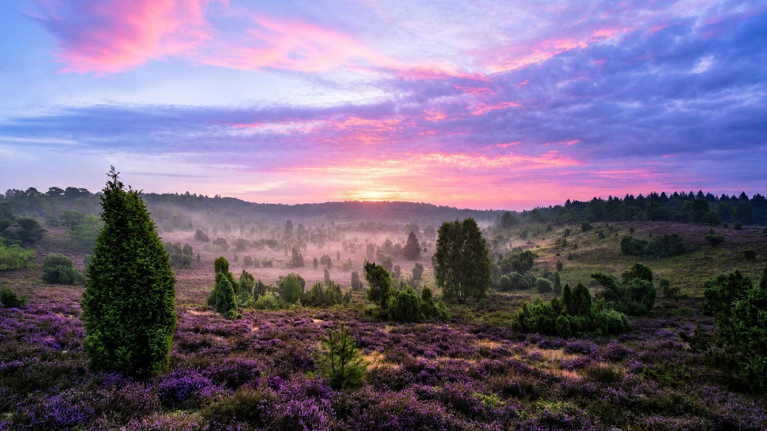 Lüneburger Heide