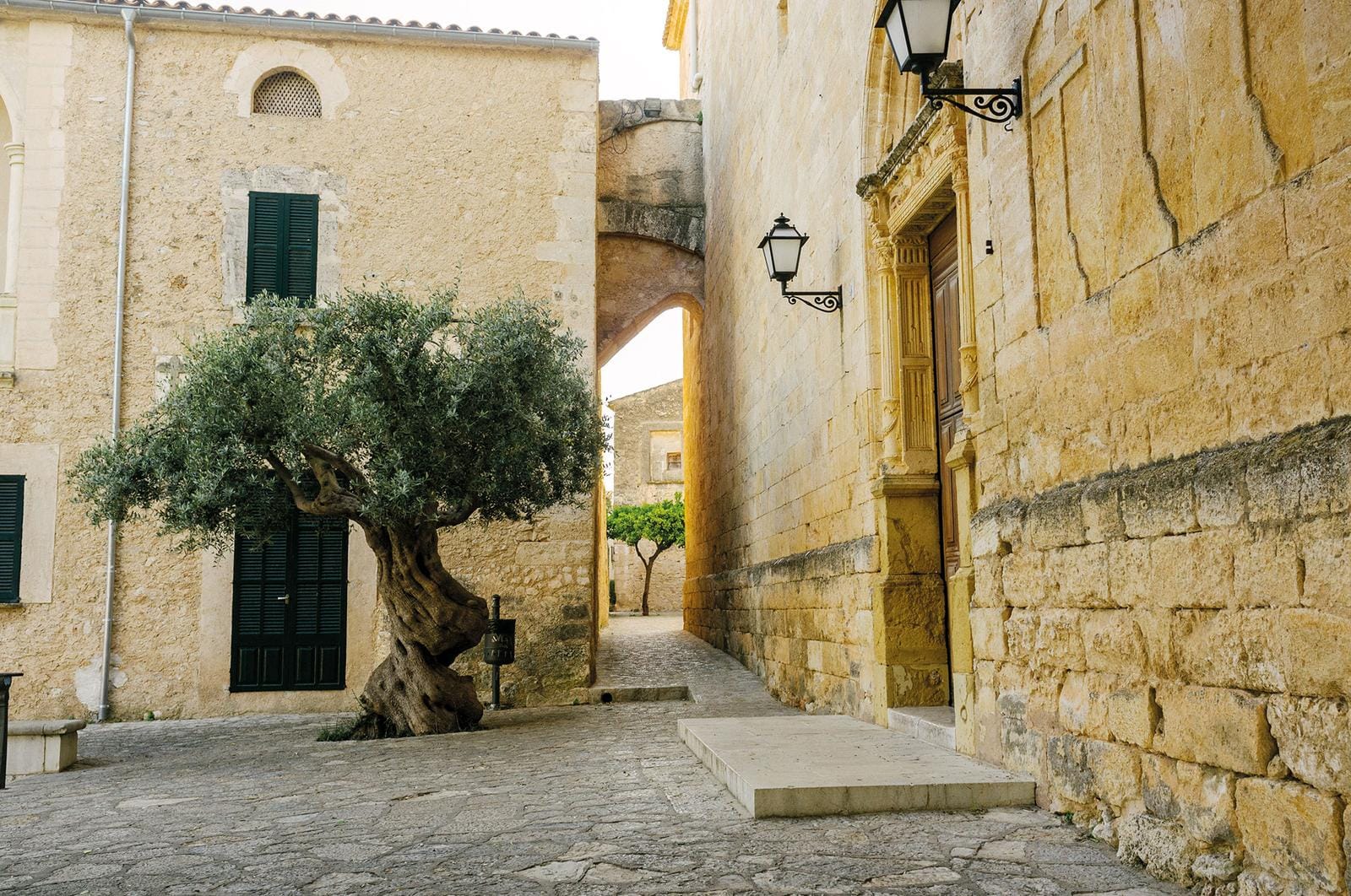 Mittelalterliche Gasse mit Olivenbaum und sandfarbenen Steinmauern in südlichem Dorf.