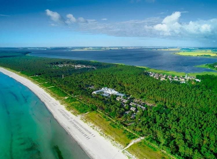 Küste von Rügen mit Strand, grünen Wäldern und dahinterliegendem Wasser unter blauem Himmel.