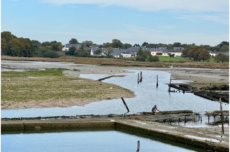 Küstenlandschaft mit Austernbänken, kleinen Häusern und ruhigem Wasserufer.