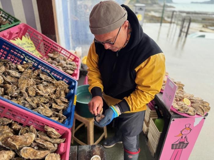 Person öffnet Austern neben bunten Körben, bei einem Strandstand.