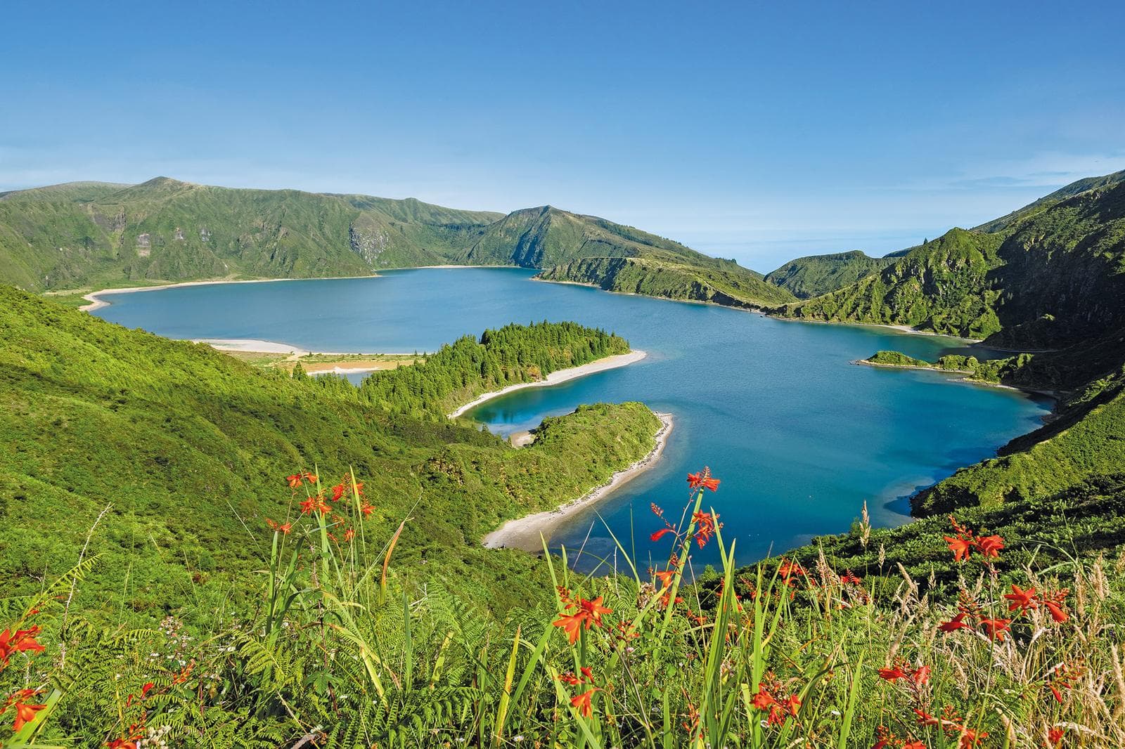 Portugal - Azoren - Blick-auf-den-Lagoa-do-Fogo-vom-Pico-da-Barrosa