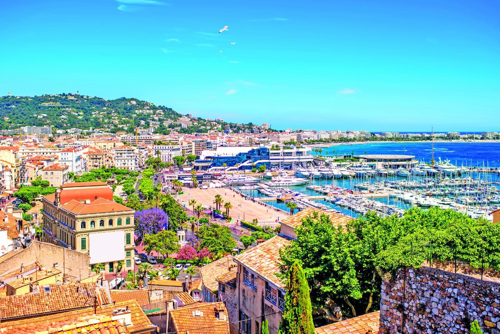 Blick auf Cannes, Frankreich: bunte Dächer, Yachthafen, blaues Meer und grüner Hügel.