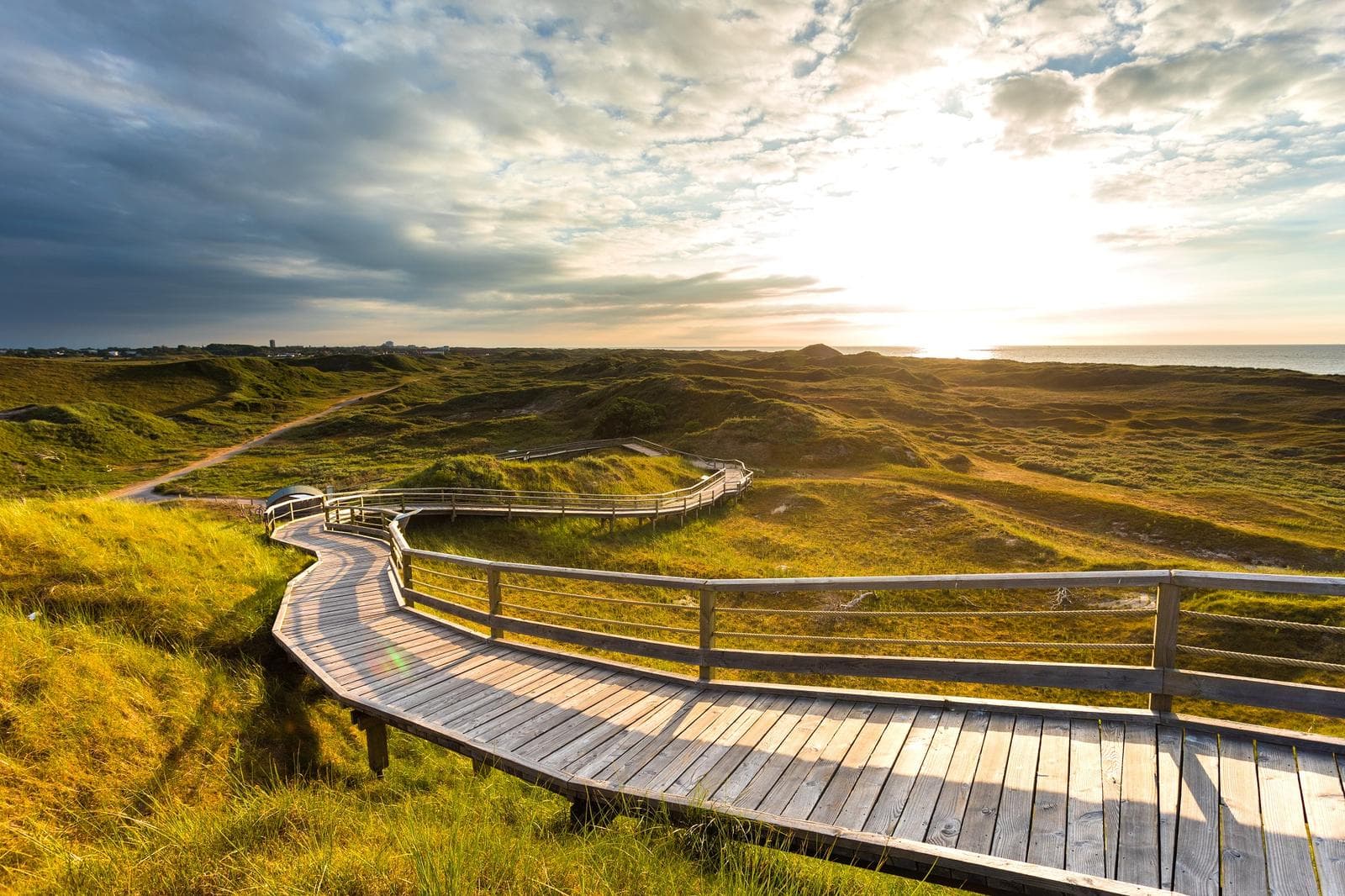 Holzsteg durch grüne Dünenlandschaft auf Sylt bei Sonnenuntergang.