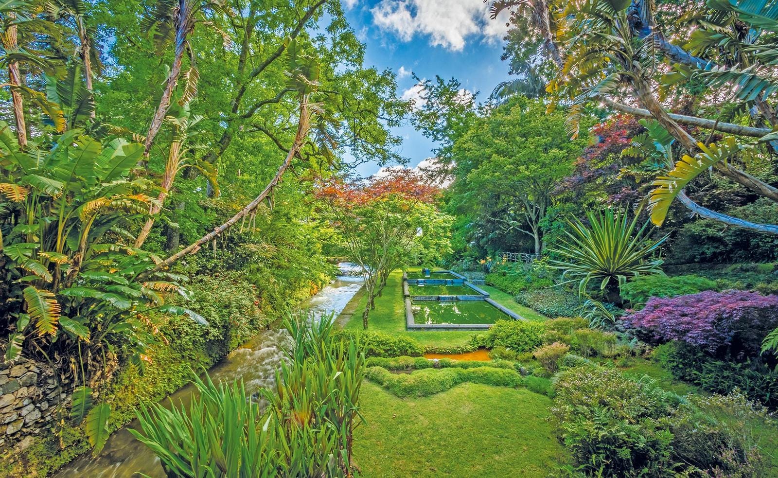 Portugal - Azoren - Botanischer-Garten-Terra-Nostra