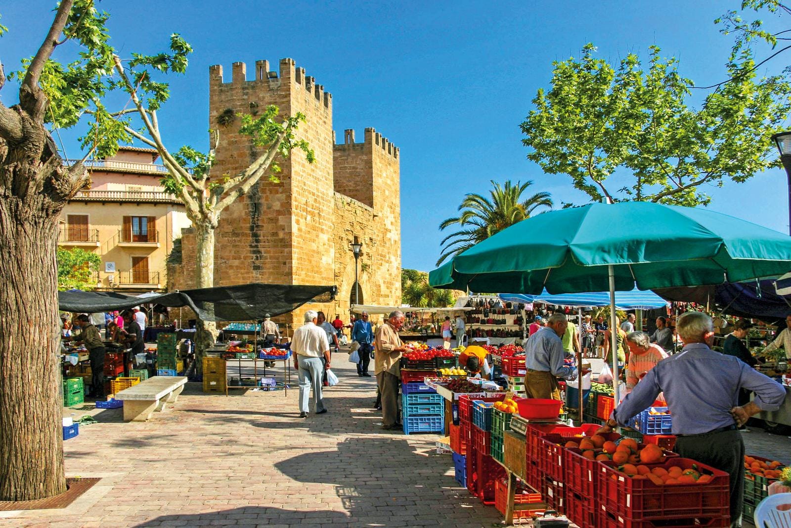 Bunter Markt in Alcúdia, Mallorca, mit historischen Mauern und mediterranem Flair.