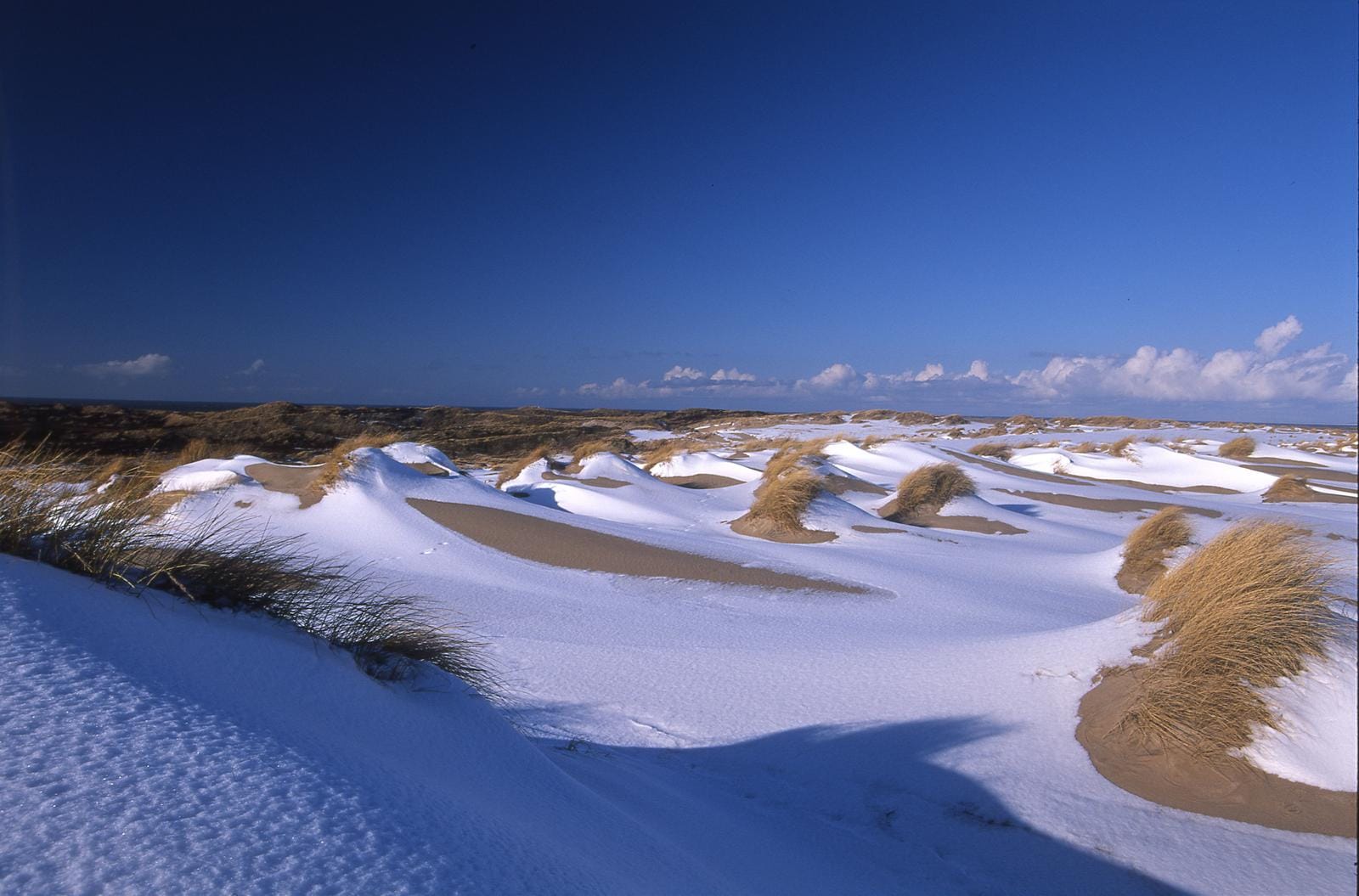 Dünen im Schnee