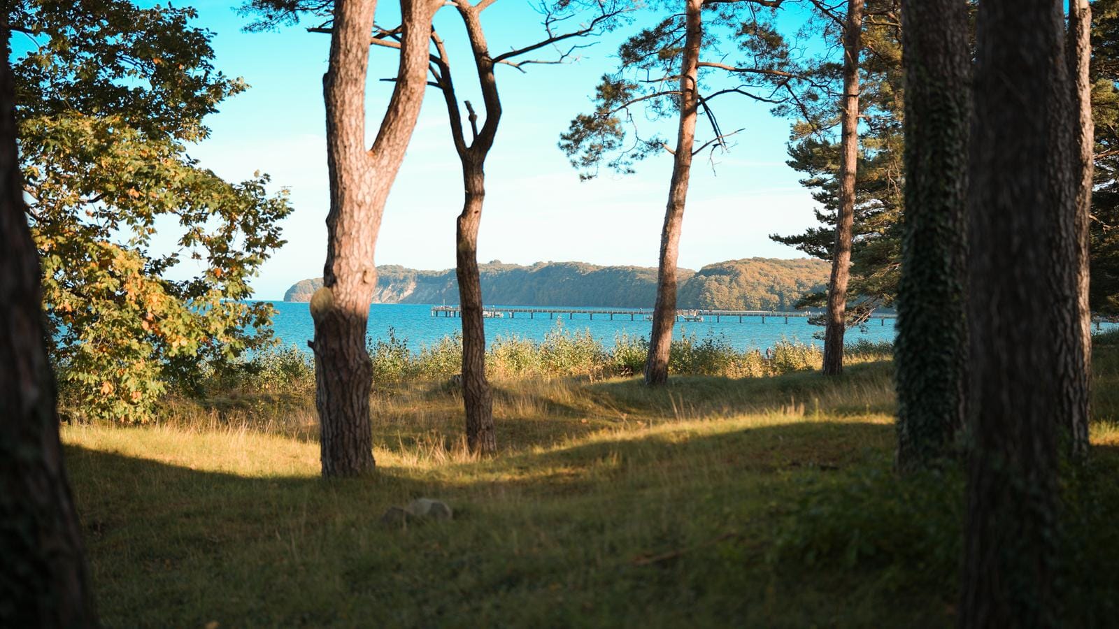 Rügen