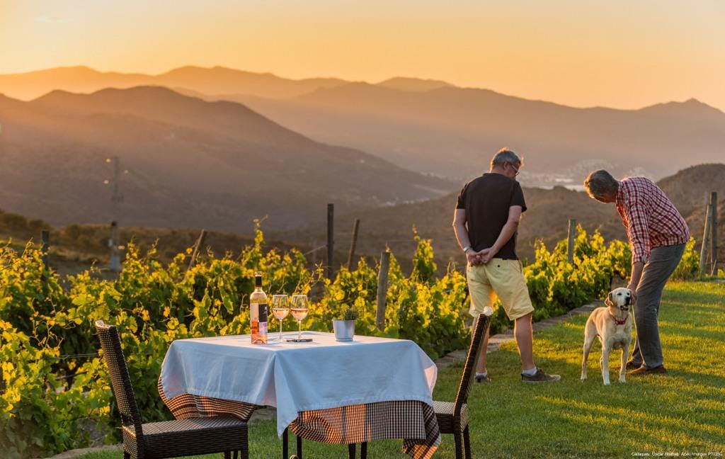 Zwei Männer und ein Hund bei Sonnenuntergang in Weinbergen; Tisch mit Wein vor Bergkulisse.