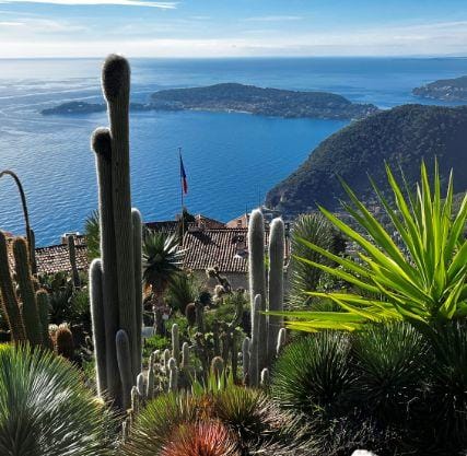 Mittelmeerblick mit Kakteen und Hügeln, Cap Ferrat, Südfrankreich.